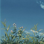 virtualgardener